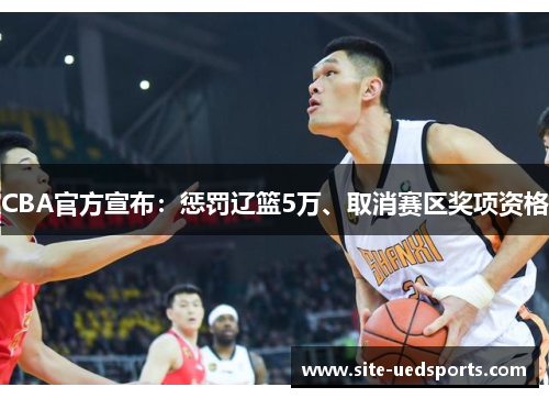 CBA官方宣布：惩罚辽篮5万、取消赛区奖项资格