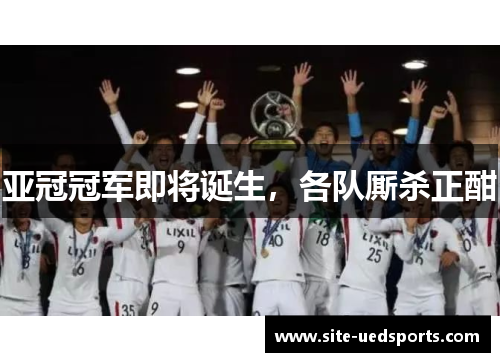 亚冠冠军即将诞生，各队厮杀正酣