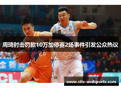 周琦肘击罚款10万加停赛2场事件引发公众热议