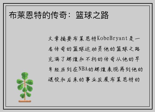 布莱恩特的传奇：篮球之路