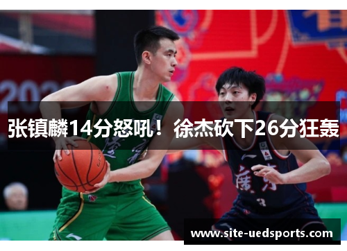 张镇麟14分怒吼！徐杰砍下26分狂轰