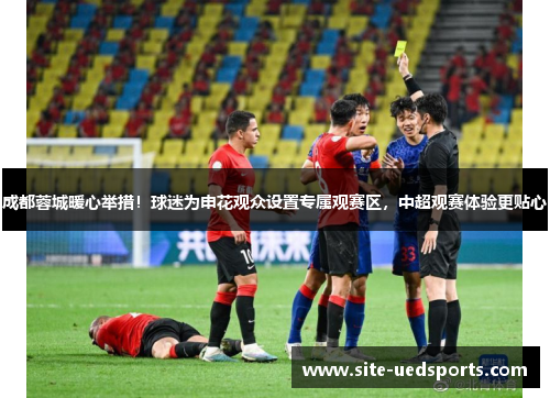 成都蓉城暖心举措！球迷为申花观众设置专属观赛区，中超观赛体验更贴心